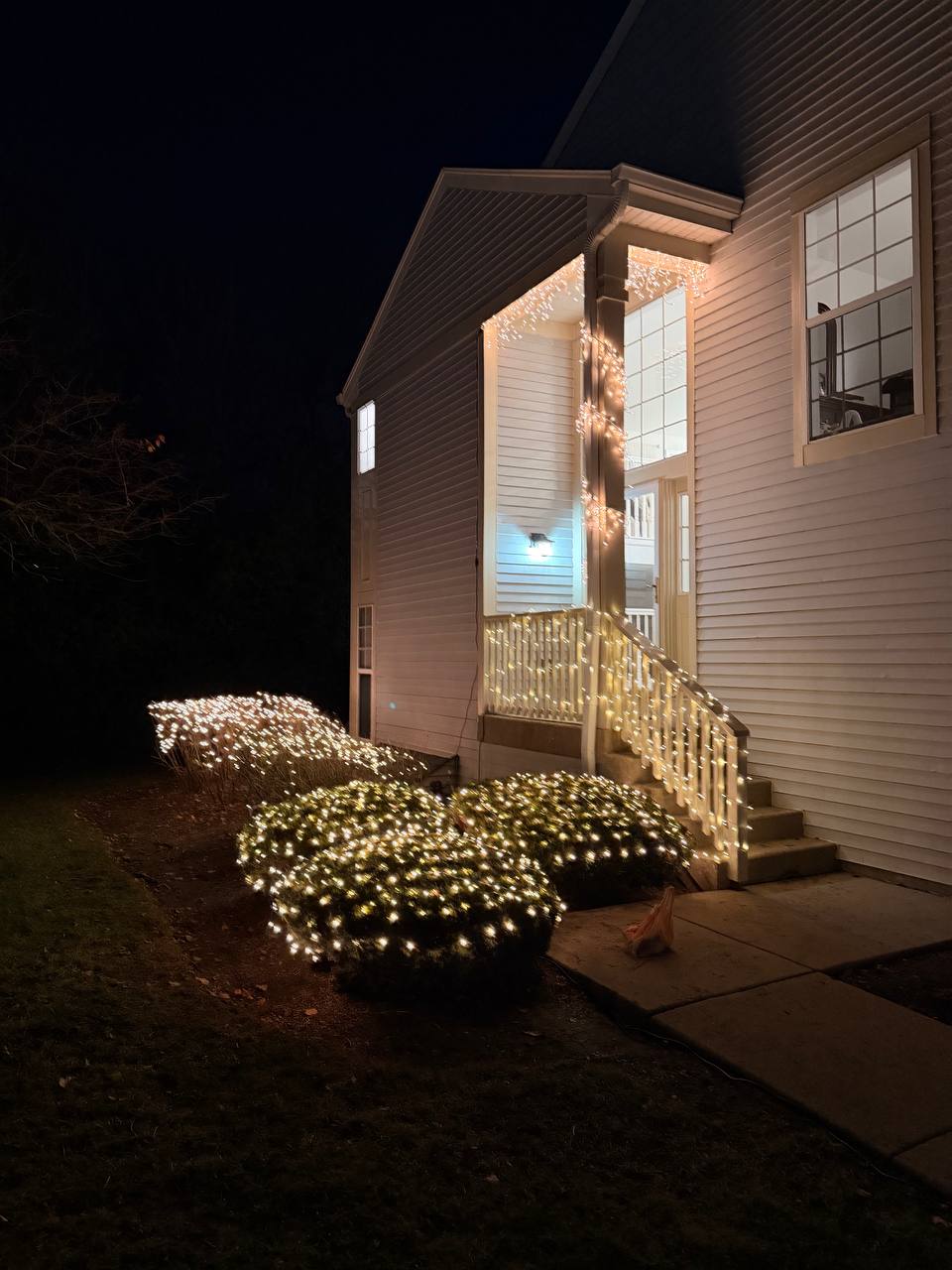 Tree and bush wrapping