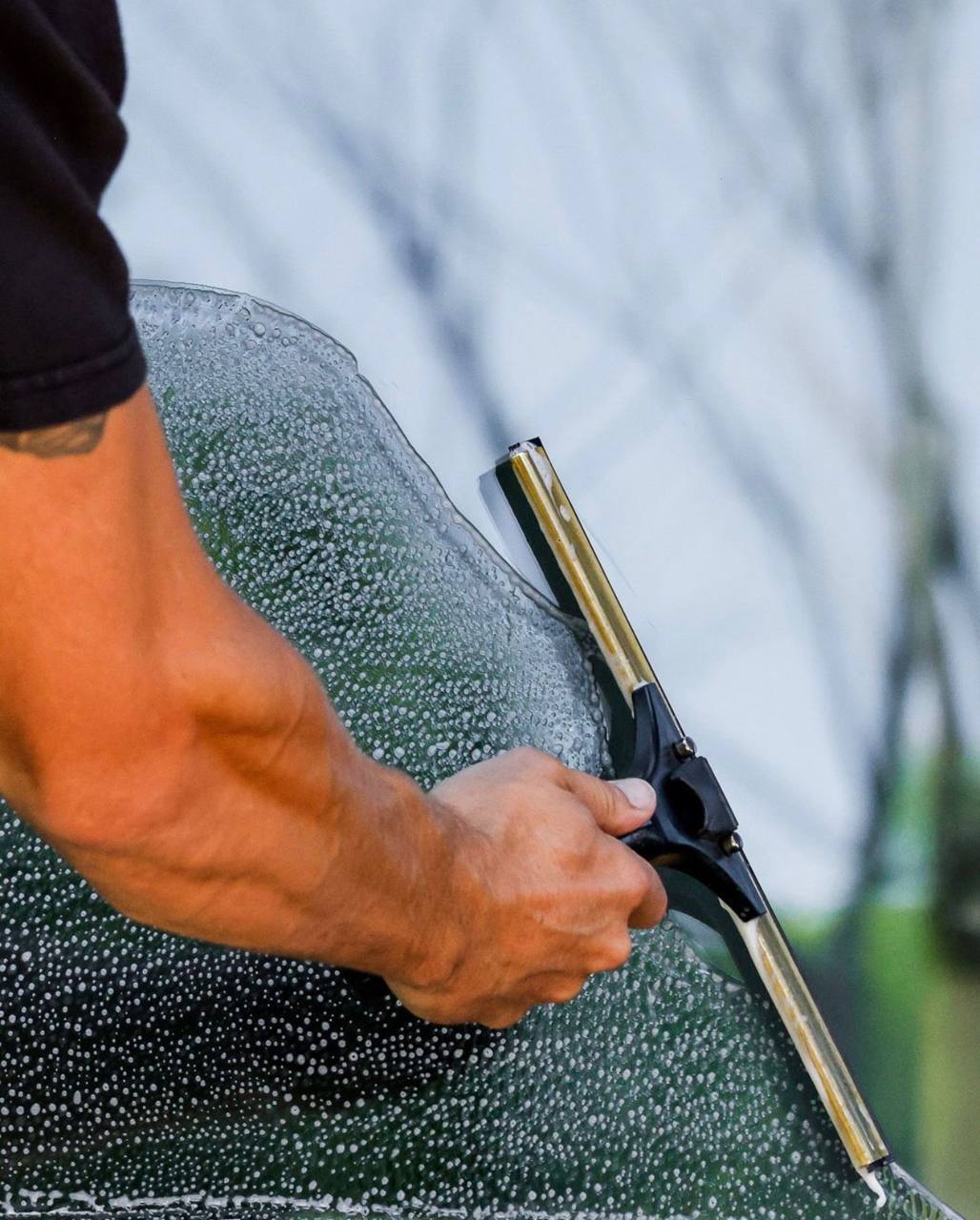 Professional window cleaning service